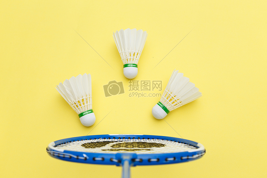 政府和体育 政府和体育